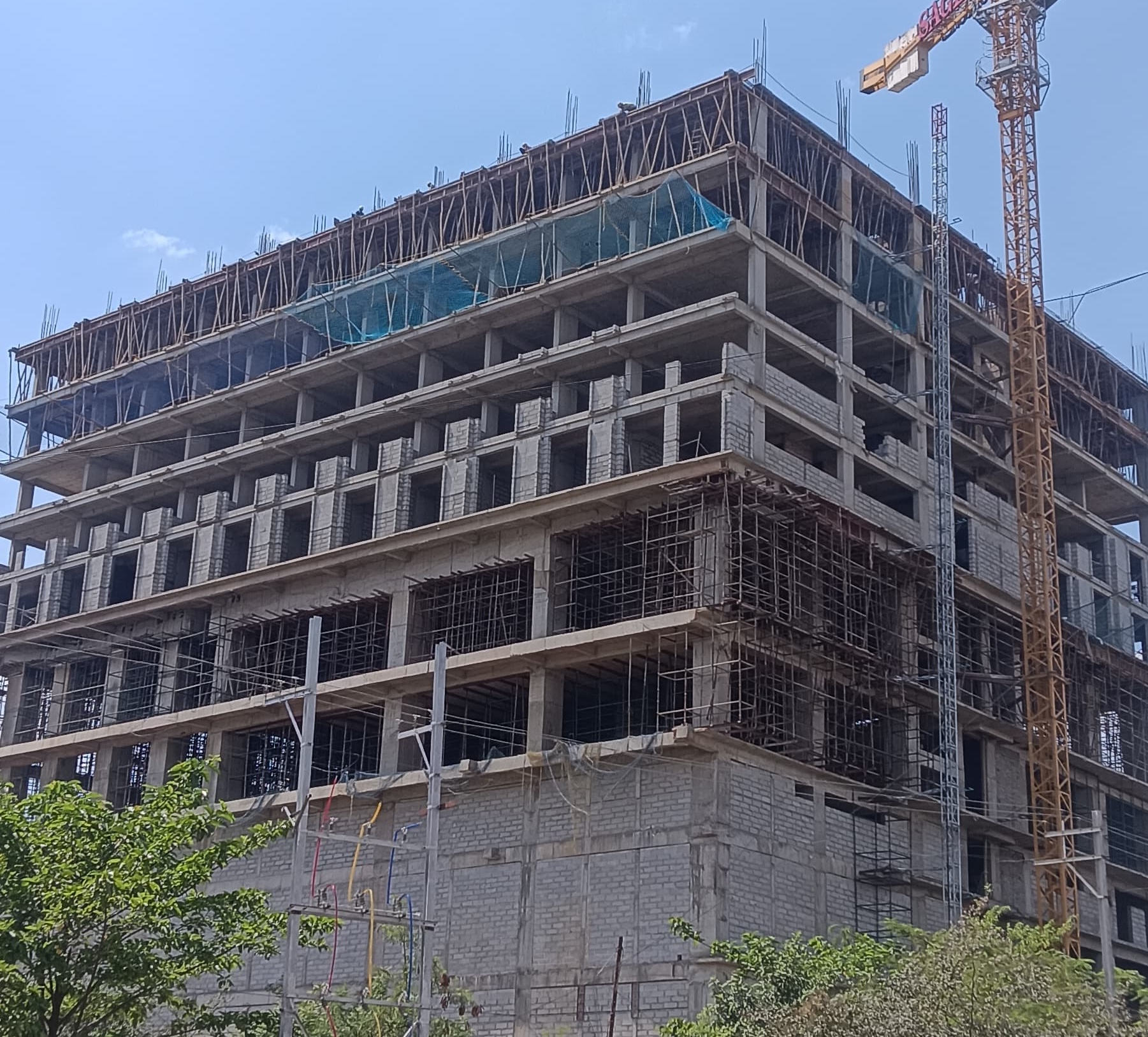 Commercial Project